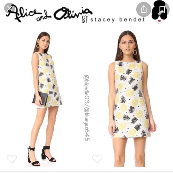 Alicia and Olivia Dresses & Skirts - Alicia and Olivia Pineapple dress- NEW